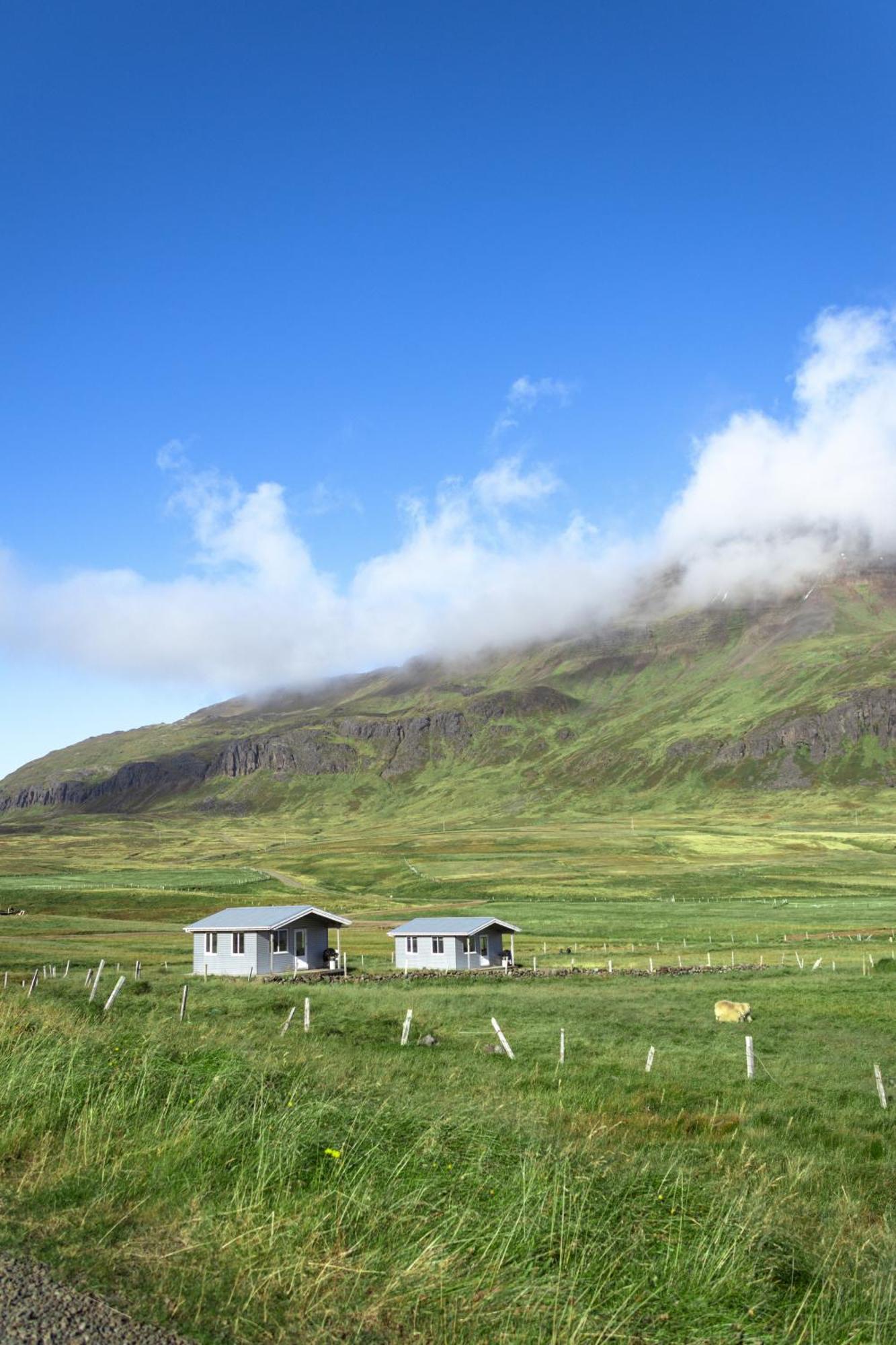 Urdartindur Guesthouse And Cottages Northurfjorthur Værelse billede